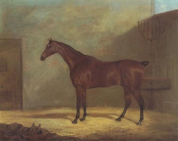 John Boultbee A Chestnut Hunter With A Groom By a Building Norge oil painting art